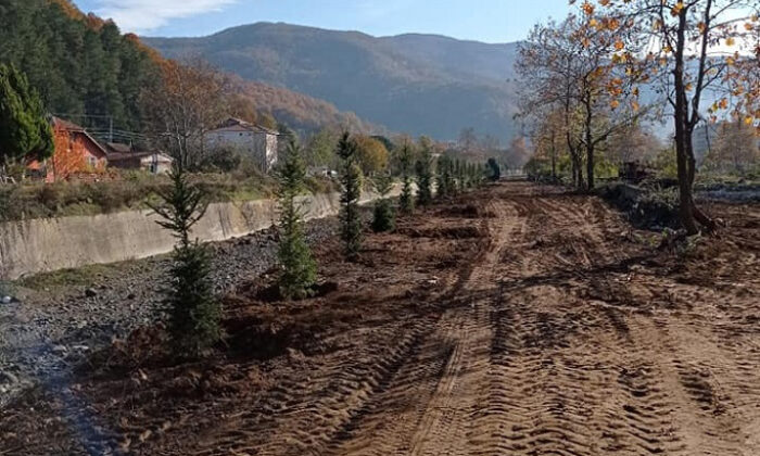 ‘1 FİDAN 1 HAYAT PROJESİ’ İLE 1000 FİDAN DİKİLDİ