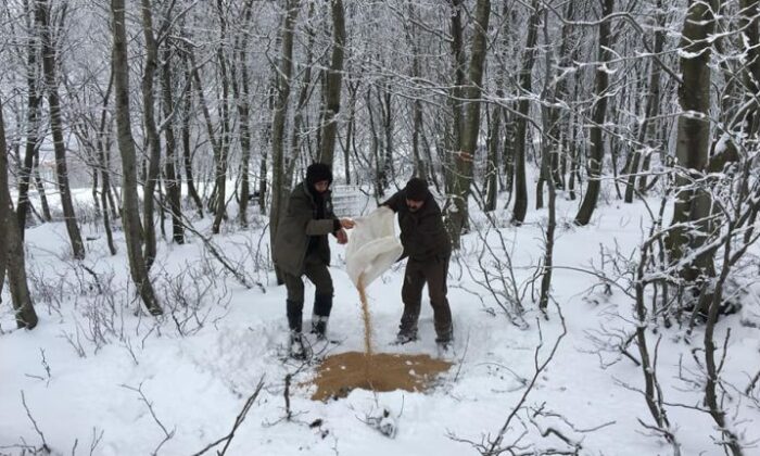 DKMP’DEN YEMLEME ÇALIŞMASI