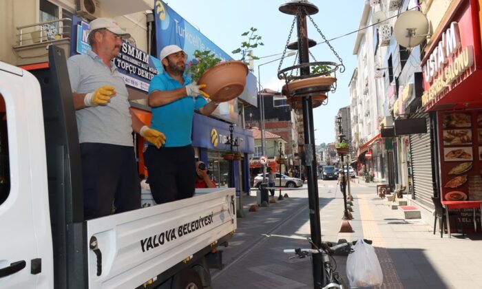 YALOVA ÇİÇEK AÇIYOR