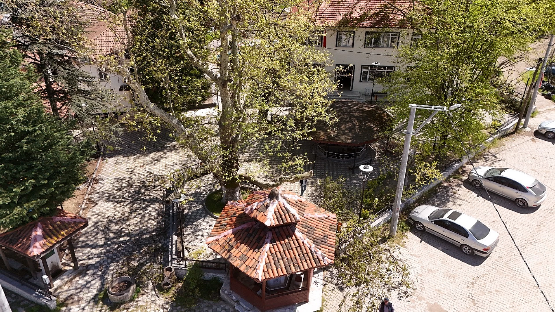 KÖYLERDEKİ ANIT AĞAÇLARA KORUMA