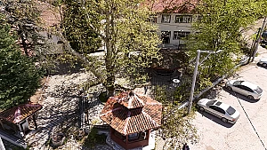 KÖYLERDEKİ ANIT AĞAÇLARA KORUMA