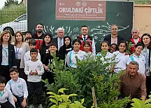 ÖĞRENCİLER SEBZE FİDESİ DİKTİ