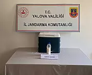 5 MİLYONLUK AKREP ZEHİRİ YAKALANDI