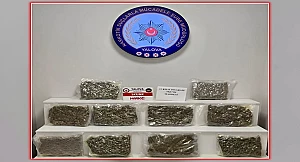 YALOVA'DA UYUŞTURUCU OPERASYONU