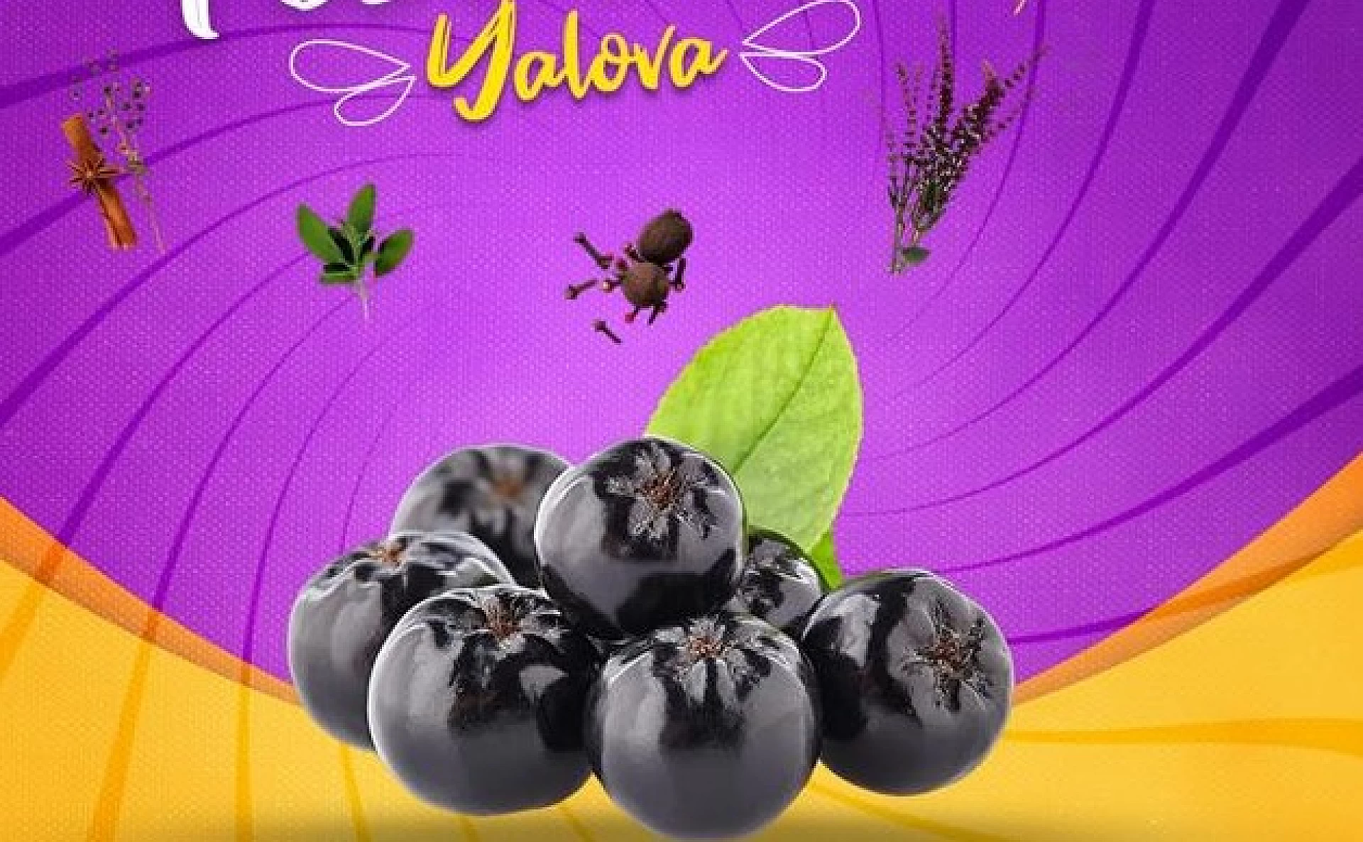ARONYA FESTİVALİ 11 EYLÜL'DE YAPILACAK