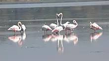 HERSEK LAGÜNÜ İNCELENDİ