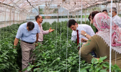 PARILDAR, ‘ÜRETİCİ DESTEKLERİ SÜRECEK’