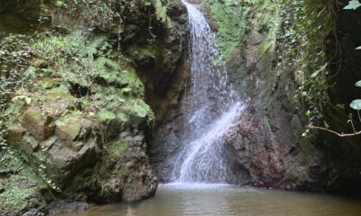 ALTINOVA’DA 3 ŞELALE GÜN YÜZÜNE ÇIKARILDI