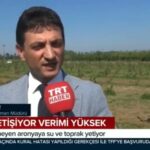 SÜPER MEYVE ARONYA YALOVA’DA