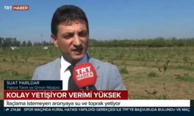 SÜPER MEYVE ARONYA YALOVA’DA