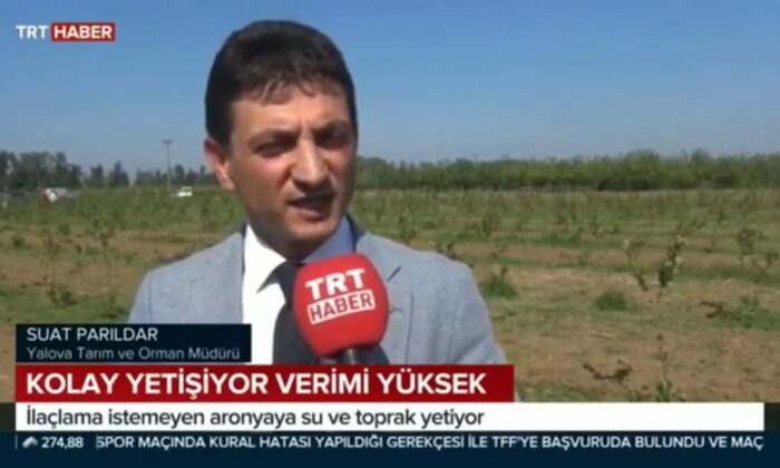 SÜPER MEYVE ARONYA YALOVA’DA