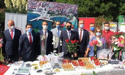 BAKAN PAKDEMİRLİ, YALOVA’YA GELİYOR