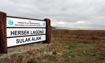 HERSEK LAGÜNÜ / ALTINOVA