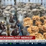 MANTAR MÜKEMMELİYET MERKEZİ YALOVA’DA KURULDU