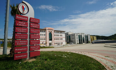 ÜNİVERSİTE SERTİFİKALARI E-DEVLETTE