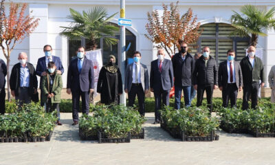 ÇİFTÇİLERE ARONYA FİDANI DAĞITILDI