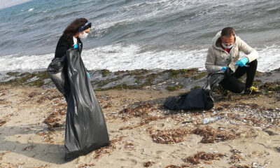 HERSEK PLAJINA KİRLİLİK İZLEME PROGRAMI