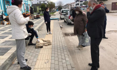 SİLPAGAR, HASTA KÖPEĞE MÜDAHALE ETTİ