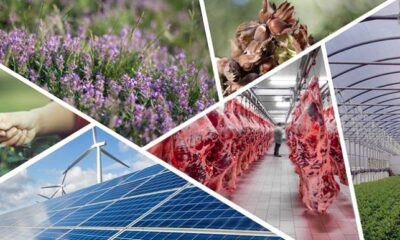 14. ETAP UYGULAMA REHBERİ YAYINLANDI