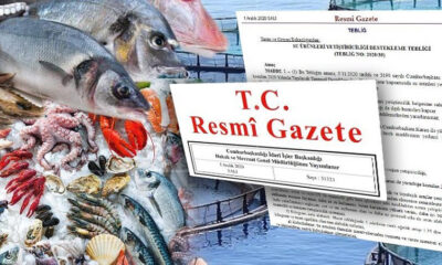 MİDYEDE 10, ALABALIKTA 10 KURUŞ DESTEK