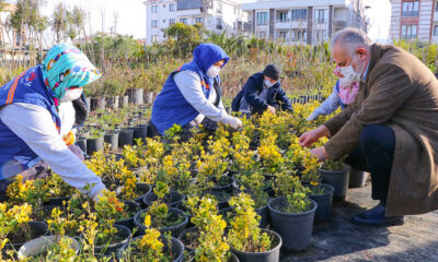 ÇİFTLİKKÖY BELEDİYESİ PEYZAJ BİTKİLERİNİ KENDİ ÜRETİYOR