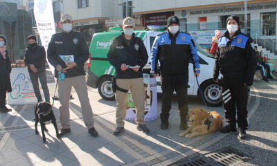 YAŞAR, ‘SOKAKTAKİ CANLAR BİZE EMANET’