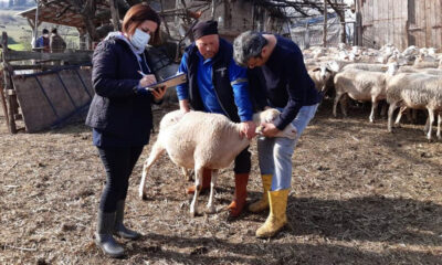 KÜPE BAZLI TESPİT ÇALIŞMALARI BAŞLADI