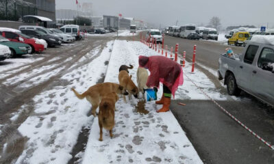 SOKAKTAKİ DOSTLARIMIZ EMİN ELLERDE