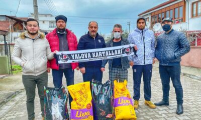 MAMALAR YALOVA KARTALLARINDAN
