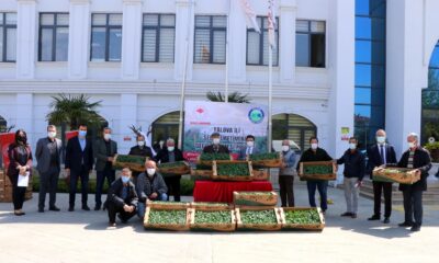 ÇİFTÇİLERE 60 BİN ADET BİBER FİDESİ DAĞITILDI
