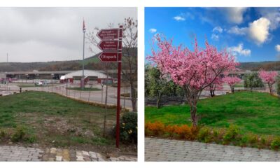 ÜNİVERSİTEDEN TÜRK-JAPON OSTLUK ORMANI