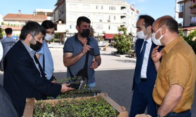 23 BİN ADET FİDE VATANDAŞA DAĞITILDI