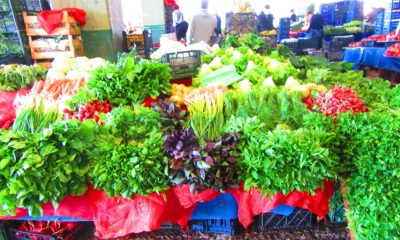 PAZARYERİ, CUMARTESİ GÜNLERİ AÇIK OLACAK