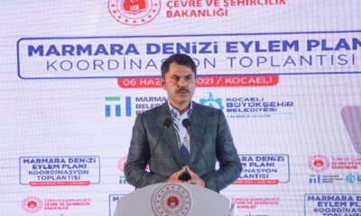 MÜSİLAJ EYLEM PLANI AÇIKLANDI