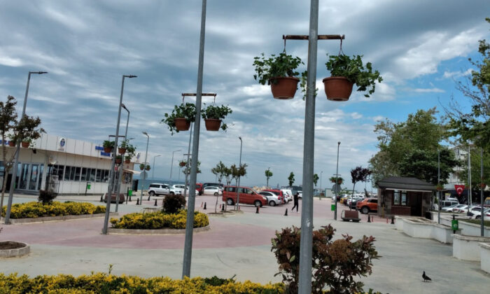 ÇINARCIK, ÇİÇEKLERLE RENGARENK