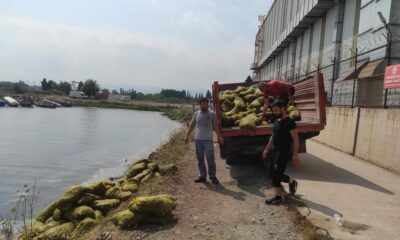 EKİPLER 7 TON KARA MİDYEYE EL KOYDU