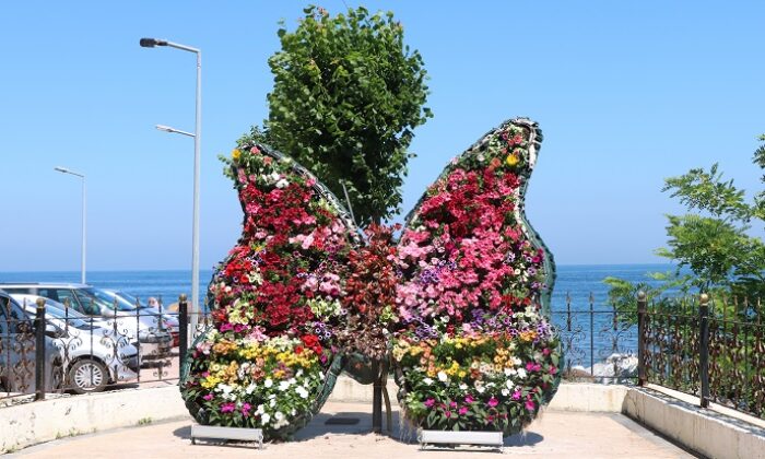 ÖZGÜRLÜK PARKI’NDAKİ KELEBEK ÇİÇEK AÇTI