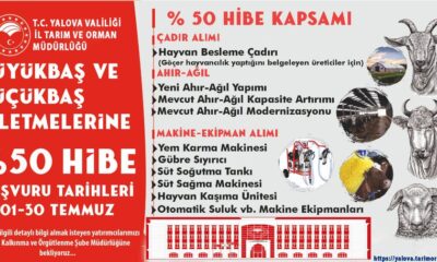HAYVANCILIK YATIRIMLARINA YÜZDE 50 HİBE DESTEĞİ