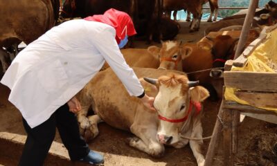 KURBAN PAZARI DENETLENDİ