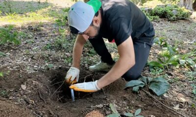 ARAZİ ÇALIŞMALARI DEVAM EDİYOR