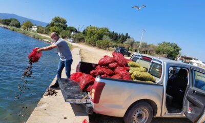 KAÇAK AVLANAN 2 TON MİDYE DENİZE DÖKÜLDÜ