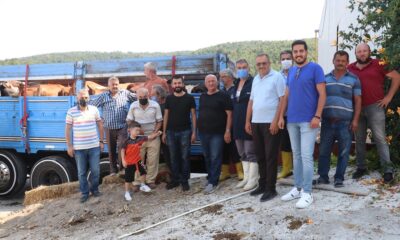 KASTAMONU VE SİNOP’A BÜYÜKBAŞ HAYVAN DESTEĞİ