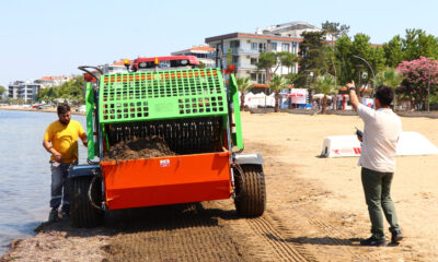 ÇİFTLİKKÖY’DE YOSUNLAR DOĞAYA GERİ KAZANDIRILIYOR