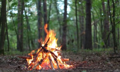 MESİRE VE PİKNİK ALANLARINDA MANGAL VE ATEŞ YAKMAK TAMAMEN YASAK