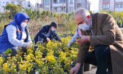 ÇİFTLİKKÖY’DE PEYZAJ BİTKİLERİ ÜRETİLİYOR