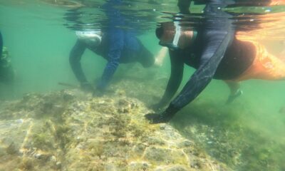 SUALTI KAZILARI TARİHE IŞIK TUTACAK