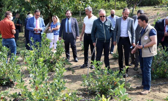 PARILDAR, MEYVECİLİK PROJELERİNİ GEZDİRDİ
