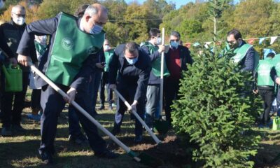 7 BİN 300 ADET FİDAN TOPRAKLA BULUŞTU