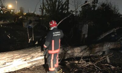 ŞİDDETLİ FIRTINA AĞAÇLARI DEVİRDİ