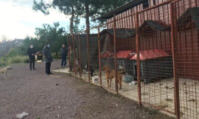 CANBAY, ‘CAN DOSTLARIMIZIN YANINDAYIZ’